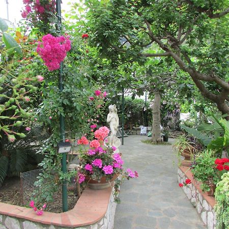 滨海宫殿住宿加早餐酒店 卡普里 外观 照片