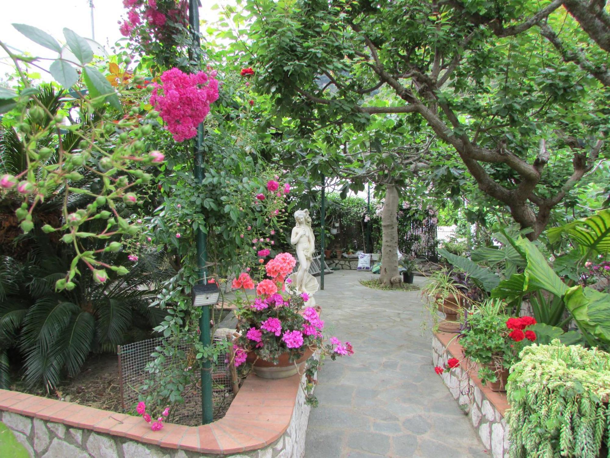 滨海宫殿住宿加早餐酒店 卡普里 外观 照片