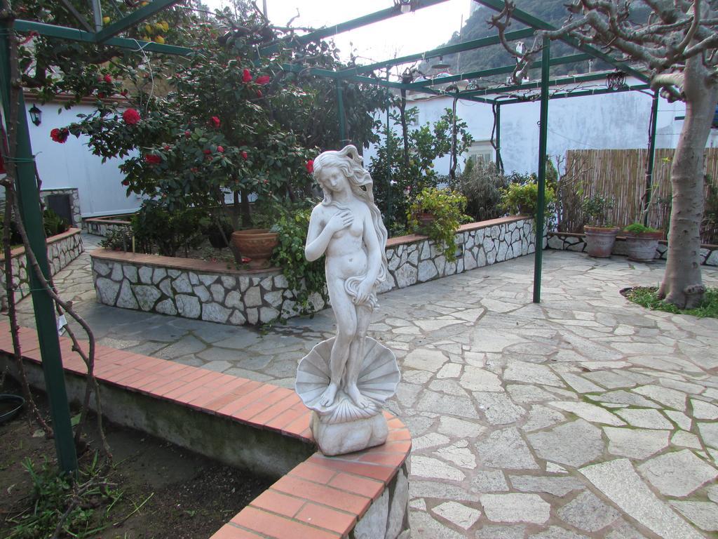 滨海宫殿住宿加早餐酒店 卡普里 外观 照片