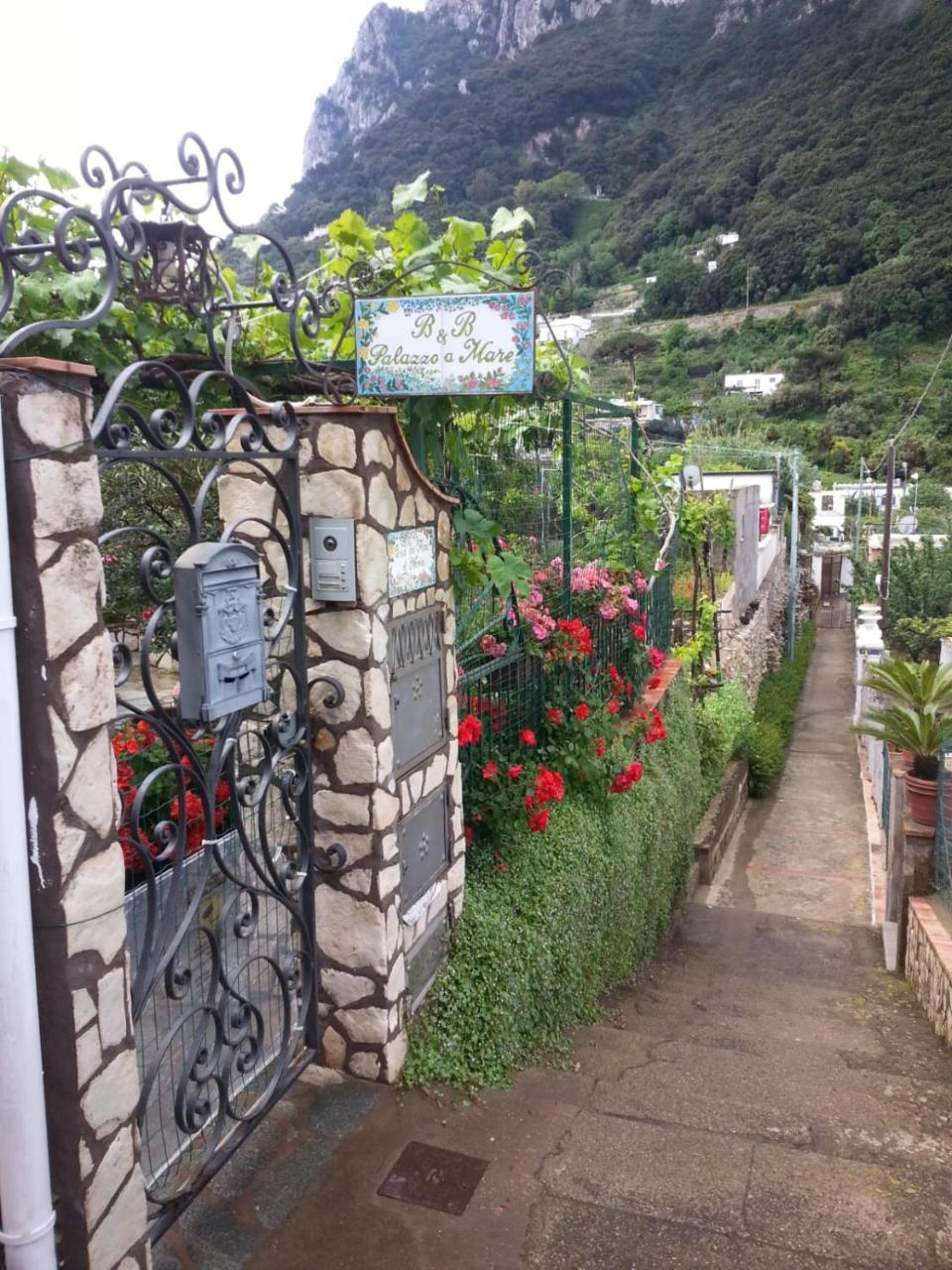滨海宫殿住宿加早餐酒店 卡普里 外观 照片
