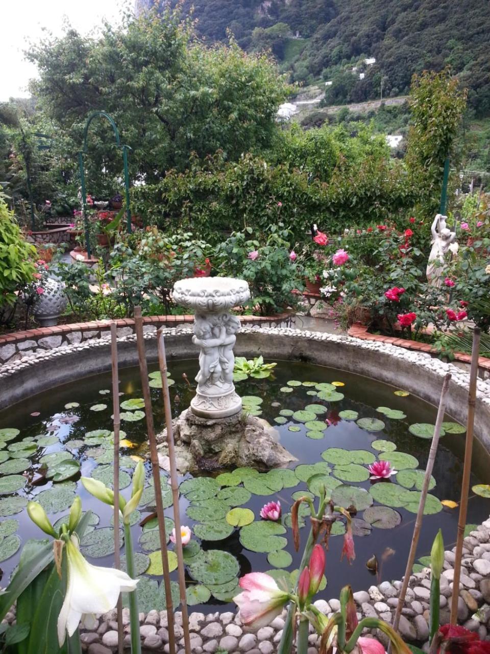 滨海宫殿住宿加早餐酒店 卡普里 外观 照片